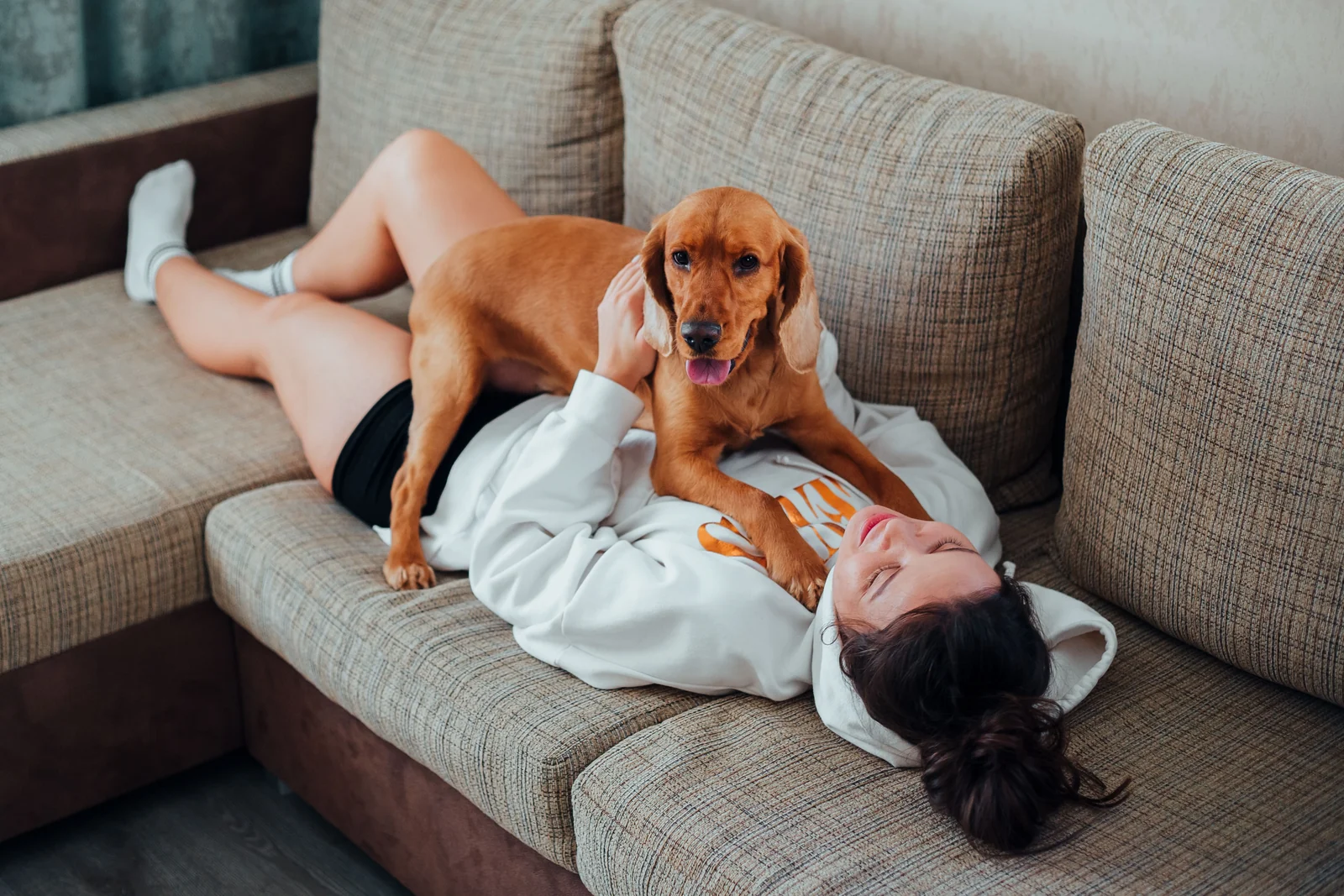 Um cachorro deitado junto à sua tutora no sofá, em um momento de afeto