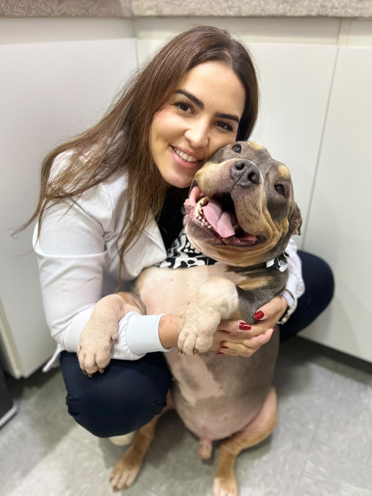 Dra. Juliana Hardy abraçando um cachorro durante atendimento veterinário
